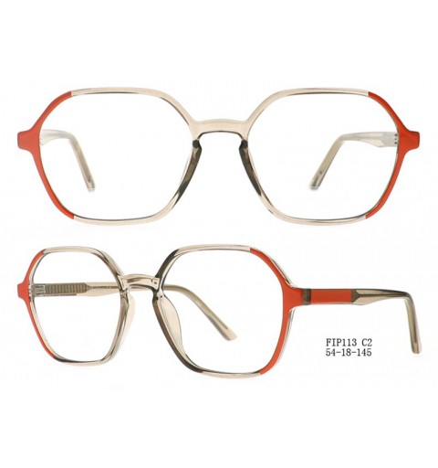FIP113 53-19-145 C2