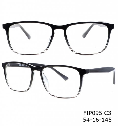 FIP095 54-16-145 C3