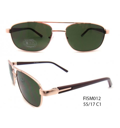 FISM012 55/17 C1