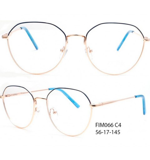 FIM066 56-17-145 C4